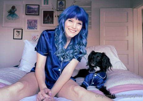 bluejayfree Profile pic