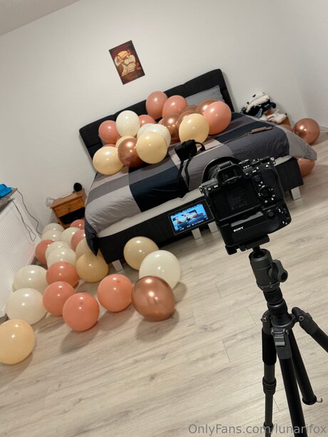 Lunarifox Profile pic