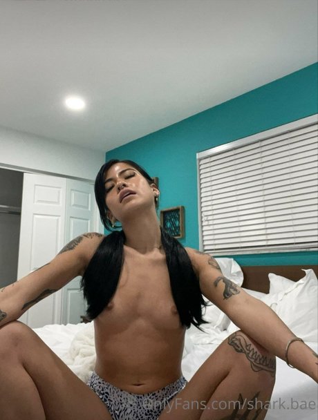 Shark Bae_ onlyfans nudes
