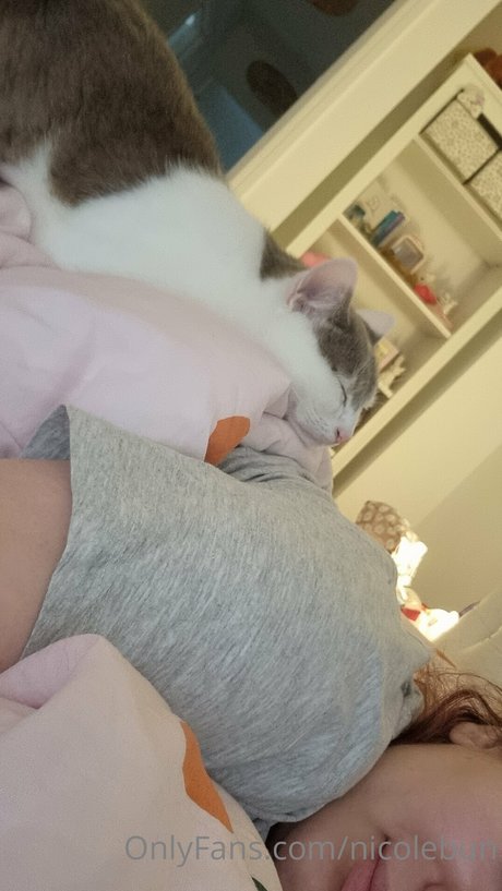 nicolebun onlyfans leak porn