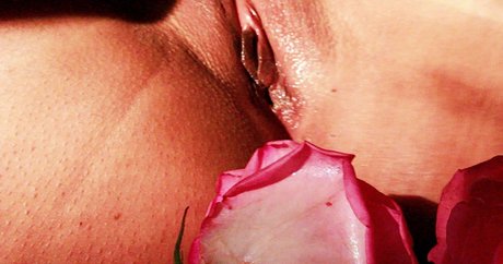 Lxckmykitt onlyfans fotos