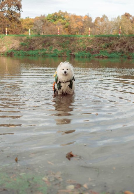 Okicospi onlyfans sextape