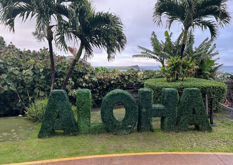 gulpfiction only fans nudes