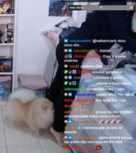 Faye Tan feet onlyfans