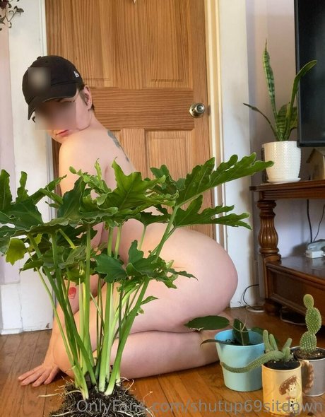 shutup69sitdown onlyfans content type