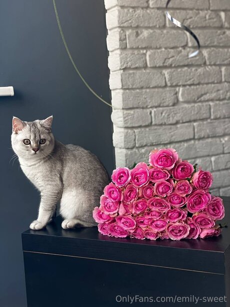 Emily Sweet only fans leak porn