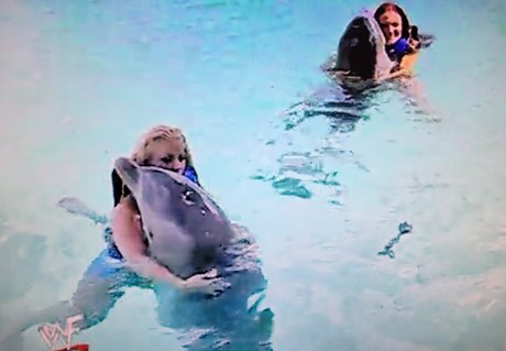 famous ladyboy onlyfans naked pictures