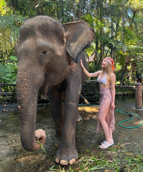 miafitz onlyfans nudes porn