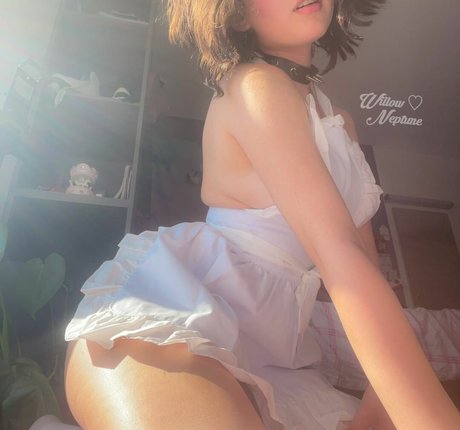 willowsdreaming onlyfans leaks