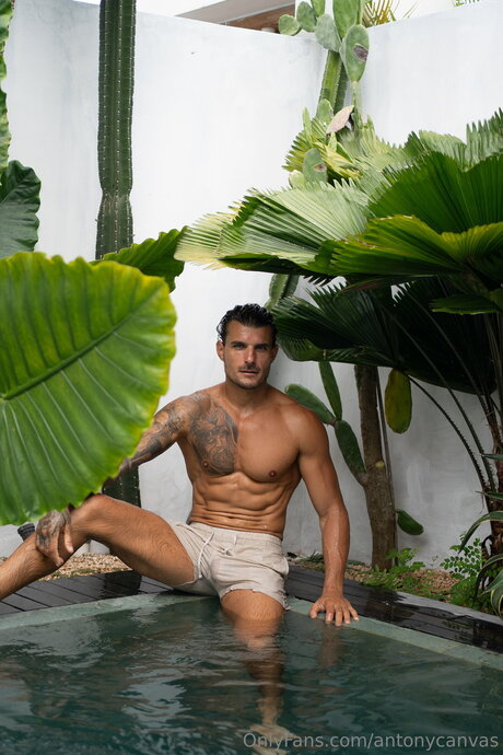 Antonycanvas onlyfans naked