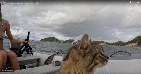 Lauren Landers naked onlyfans