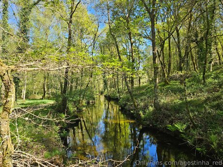 Agostinha Red onlyfans naked leaked