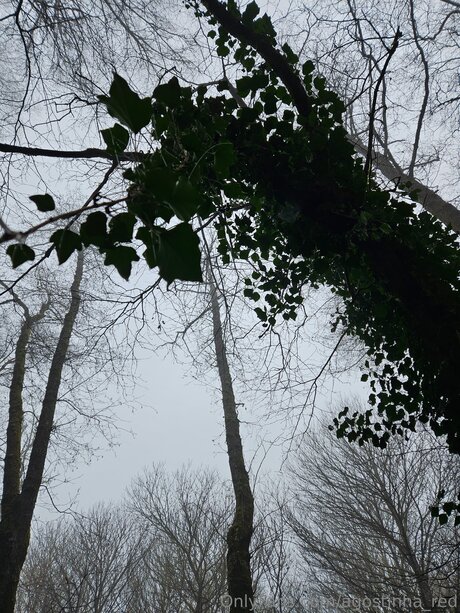 Agostinha Red onlyfans topless