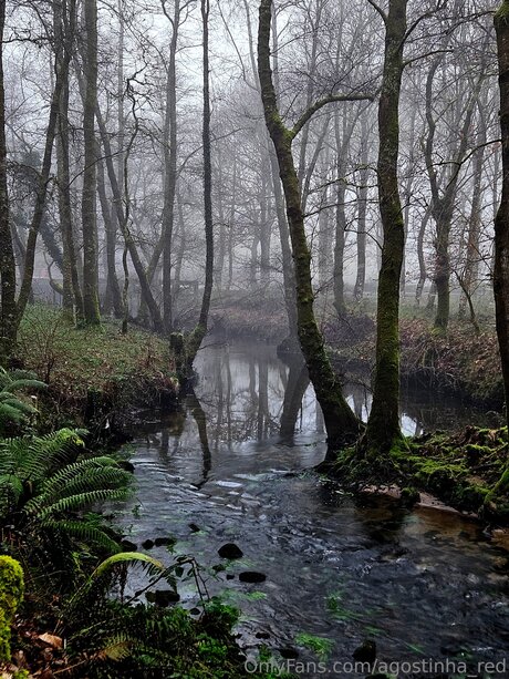 Agostinha Red onlyfans naked