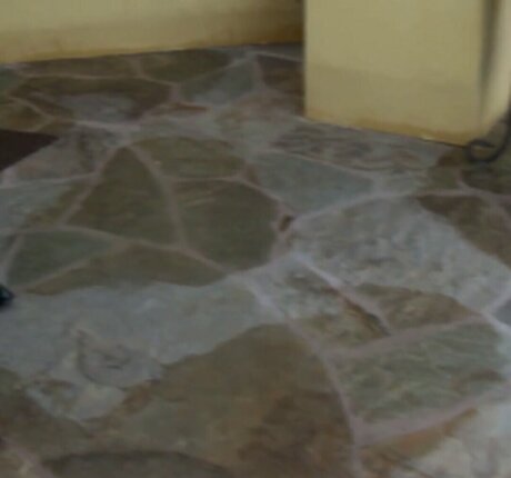 VelicityVon onlyfans free content