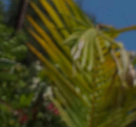 VelicityVon onlyfans pic