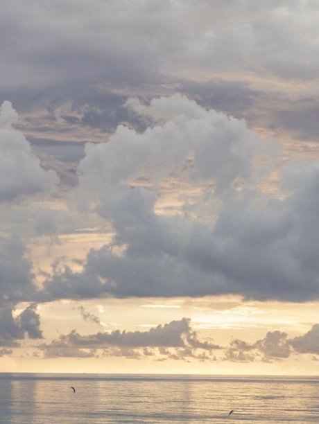 _Allima Amina leak onlyfans porn