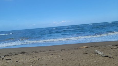 La pelua pr leaked onlyfans free