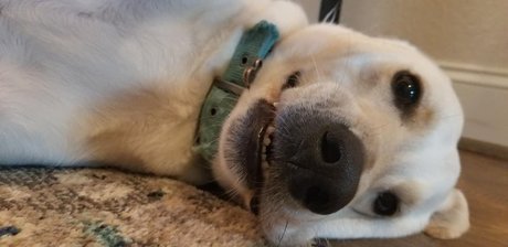 Lacigreen2020 onlyfans public photos