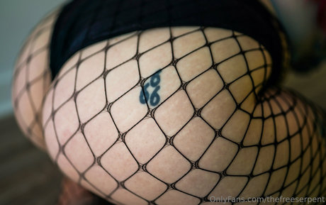 thefreeserpent onlyfans nudes leaked