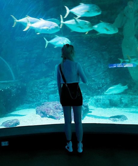 Berticuss porn leaked onlyfans