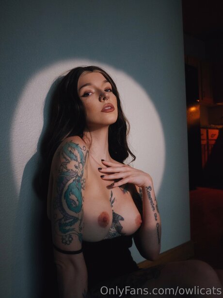 Owlicats onlyfans leaks porn