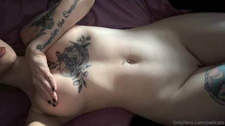 Owlicats leaked onlyfans free