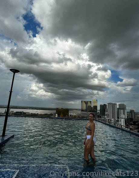 ilikecats123 onlyfans photos