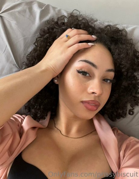 prissybiscuit onlyfans explicit content