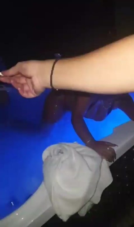 liatosh onlyfans nude content