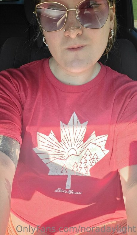 noradaylight Profile pic