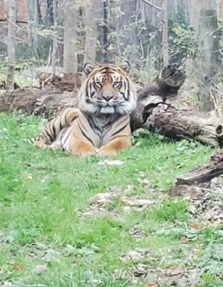 sonjahaze onlyfans porno