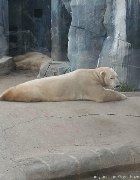 sonjahaze onlyfans model