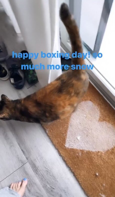 asian bodybuilder onlyfans free naked shot