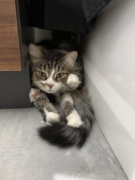 Laur onlyfans porn leaked