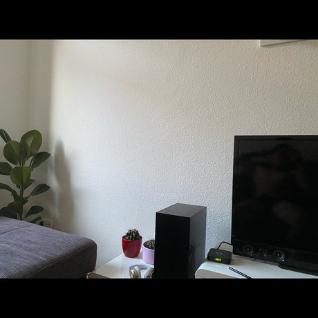 Alex Vega onlyfans free porn