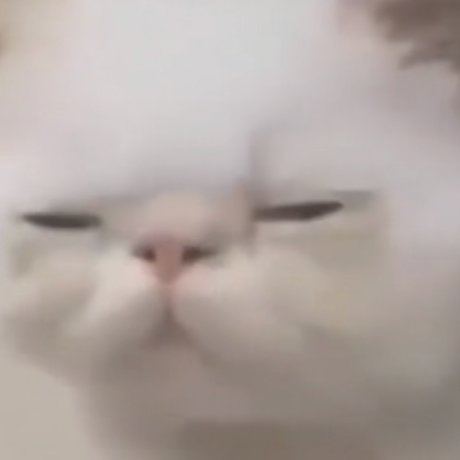 off the wall onlyfans porn free