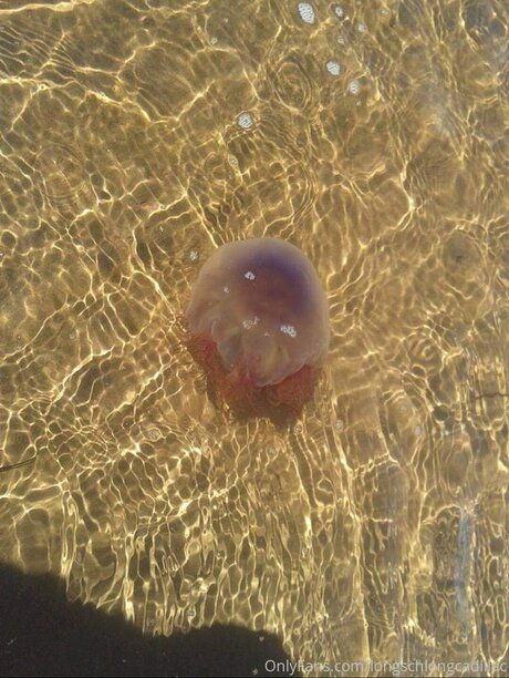 Cadillac onlyfans leaked