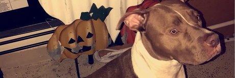 SideNigga Treey II_ onlyfans leak