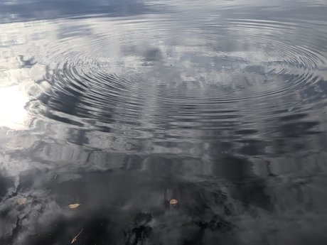 Moon Heart onlyfans leaked porn