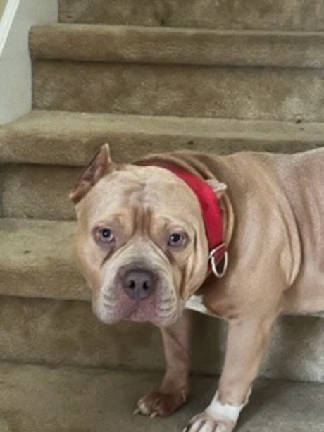 moochann feet onlyfans