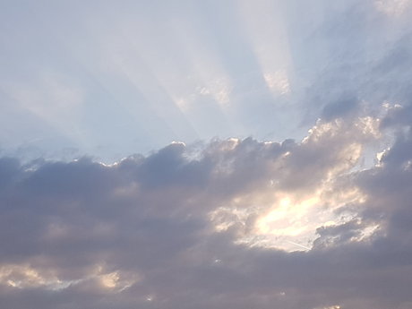 Moe Pearce onlyfans free