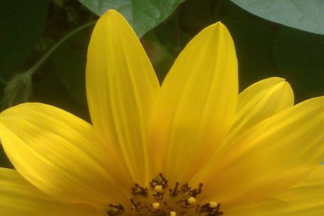 Mo Mouse82 onlyfans photo