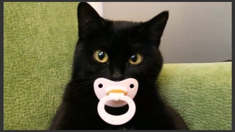 cum pussy onlyfans free sexy self-portrait