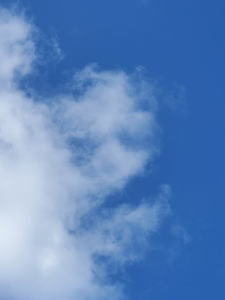 Miss Mimi onlyfans de