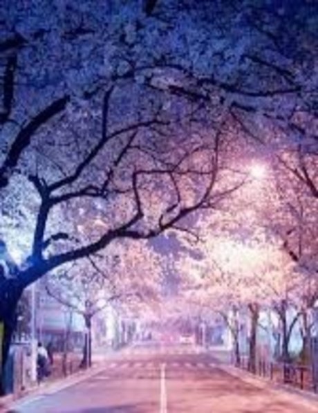 mu so you onlyfans nude leaks