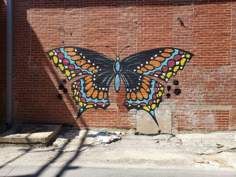 Rachel Smallwood onlyfans leaked