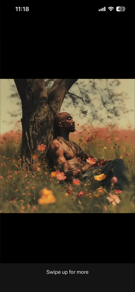 Miss Slayz Amiri B_ hot onlyfans