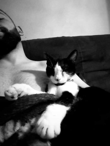 MrSerban onlyfans leaks porn