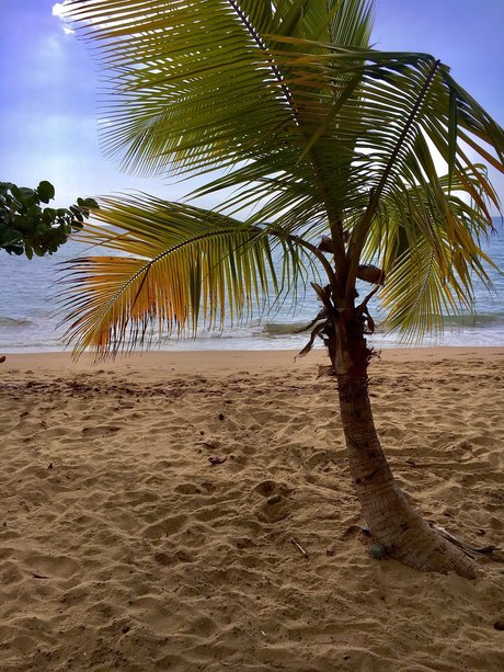 Mr JeanPi onlyfans model